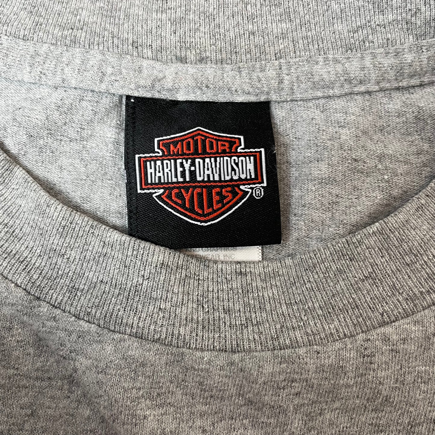(L) Harley Davidson Tshirt grau Lions