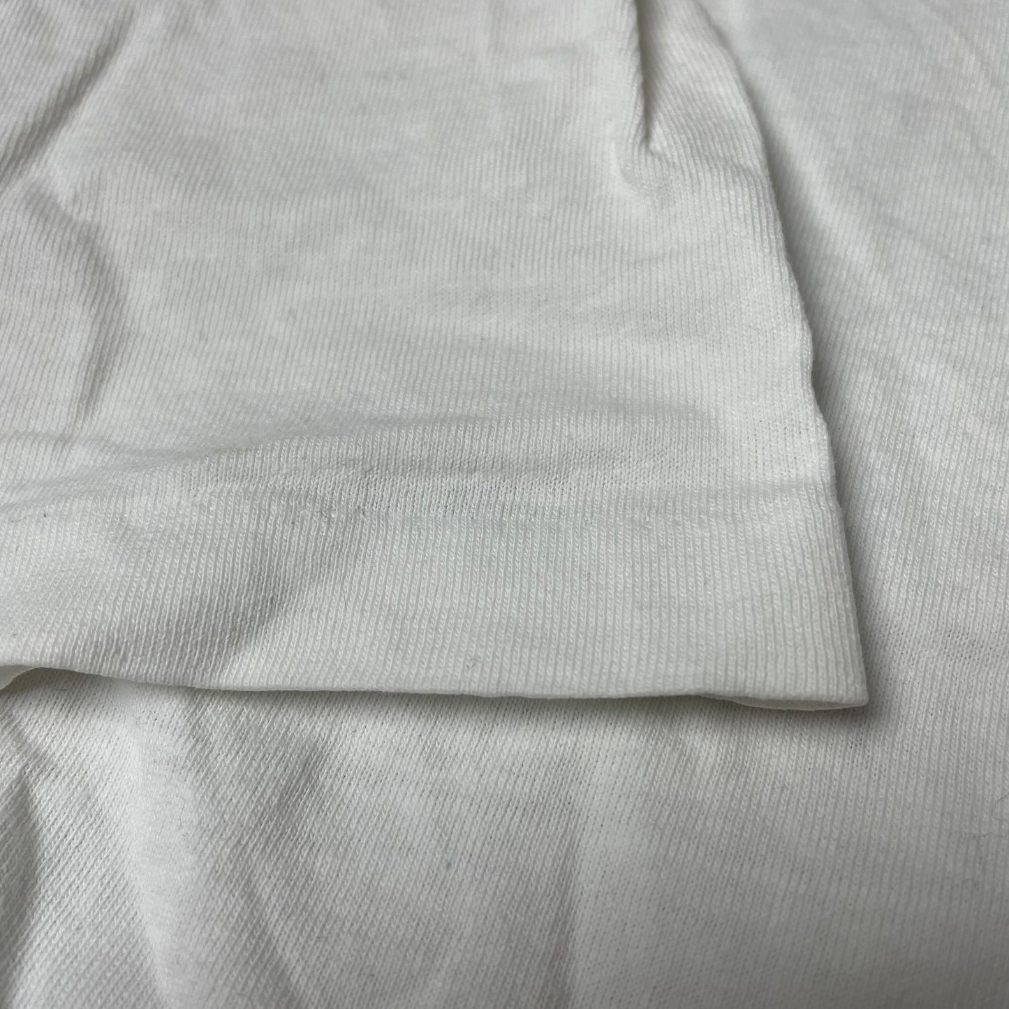 (L) 1990s Hanes Singlestitch Print Tshirt weiß The Only One